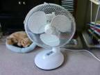 DESKTOP FAN for sale,  three speeds,  rotating,  approx...