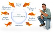 web development company in India