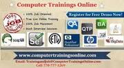 QTP Online Training and Placement in USA